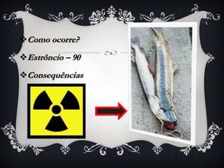 Como ocorre?
Estrôncio – 90
Consequências
 