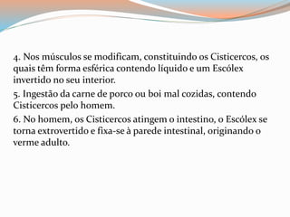 4. Nos músculos se modificam, constituindo os Cisticercos, os
quais têm forma esférica contendo líquido e um Escólex
invertido no seu interior.
5. Ingestão da carne de porco ou boi mal cozidas, contendo
Cisticercos pelo homem.
6. No homem, os Cisticercos atingem o intestino, o Escólex se
torna extrovertido e fixa-se à parede intestinal, originando o
verme adulto.
 