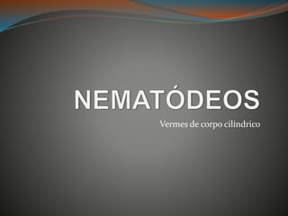 Vermes de corpo cilíndrico
 