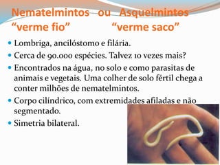 Nematelmintos ou Asquelmintos
“verme fio” “verme saco”
 Lombriga, ancilóstomo e filária.
 Cerca de 90.000 espécies. Talvez 10 vezes mais?
 Encontrados na água, no solo e como parasitas de
animais e vegetais. Uma colher de solo fértil chega a
conter milhões de nematelmintos.
 Corpo cilíndrico, com extremidades afiladas e não
segmentado.
 Simetria bilateral.
 