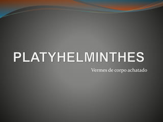 Vermes de corpo achatado
 