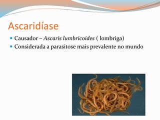  Causador – Ascaris lumbricoides ( lombriga)
 Considerada a parasitose mais prevalente no mundo
Ascaridíase
 