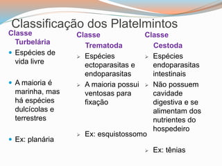 Classe
Turbelária
 Espécies de
vida livre
 A maioria é
marinha, mas
há espécies
dulcícolas e
terrestres
 Ex: planária
Classificação dos Platelmintos
Classe
Trematoda
 Espécies
ectoparasitas e
endoparasitas
 A maioria possui
ventosas para
fixação
 Ex: esquistossomo
Classe
Cestoda
 Espécies
endoparasitas
intestinais
 Não possuem
cavidade
digestiva e se
alimentam dos
nutrientes do
hospedeiro
 Ex: tênias
 