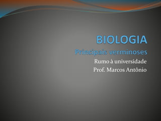 Rumo à universidade
Prof. Marcos Antônio
 