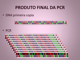 PRODUTO FINAL DA PCR 
• DNA primeira copia 
• PCR 
 