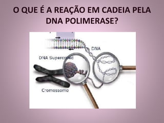 O QUE É A REAÇÃO EM CADEIA PELA 
DNA POLIMERASE? 
 