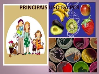 PRINCIPAIS USO DA PCR 
 