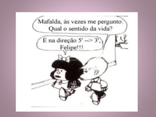 PCR- Reação em cadeia pela DNA POLIMERASE!