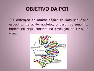 OBJETIVO DA PCR 
É a obtenção de muitas cópias de uma sequência 
específica de ácido nucléico, a partir de uma fita 
molde, ou seja, consiste na produção de DNA, in 
vitro. 
 