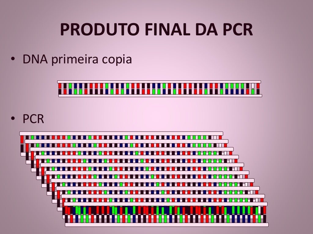PCR Reação em cadeia pela DNA POLIMERASE!