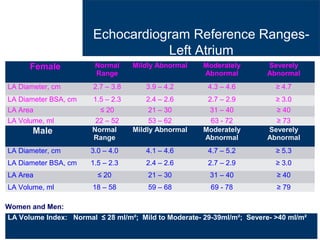 Principal basics of the echocardiogram diastolic dysfunction and left ...