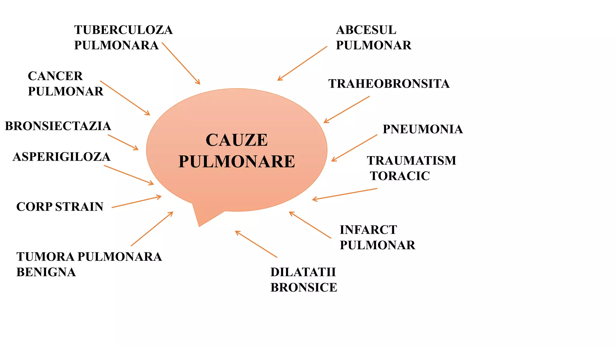 CAUZE
PULMONARE
TUBERCULOZA
PULMONARA
CANCER
PULMONAR
BRONSIECTAZIA
ASPERIGILOZA
ABCESUL
PULMONAR
TRAHEOBRONSITA
PNEUMONIA
CORP STRAIN
TUMORA PULMONARA
BENIGNA
TRAUMATISM
TORACIC
INFARCT
PULMONAR
DILATATII
BRONSICE
 