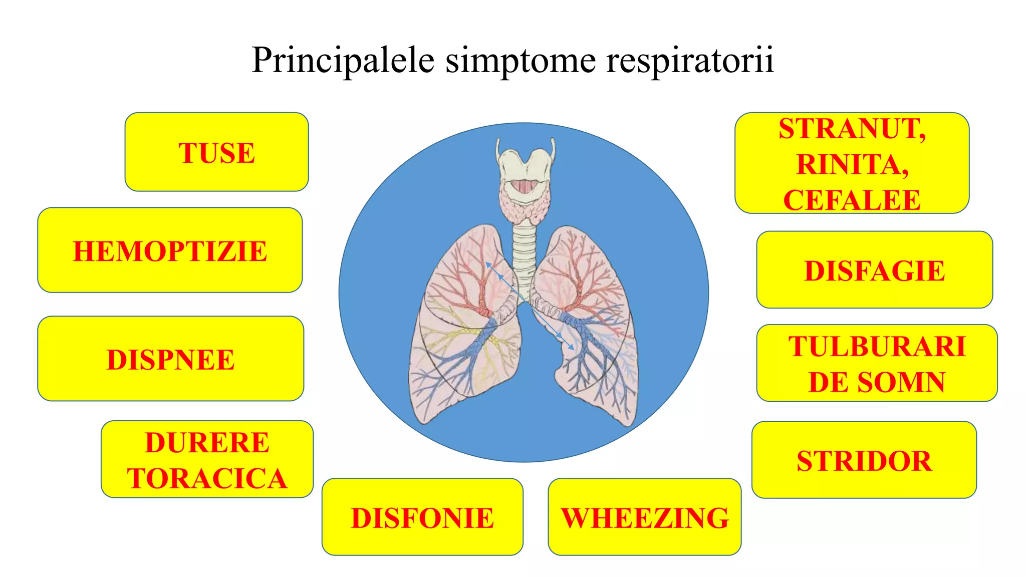 Principalele simptome respiratorii
TUSE
HEMOPTIZIE
DISPNEE
DURERE
TORACICA
DISFONIE WHEEZING
STRIDOR
TULBURARI
DE SOMN
DISFAGIE
STRANUT,
RINITA,
CEFALEE
 