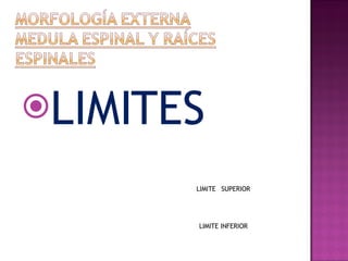LIMITES LIMITE   SUPERIOR LIMITE INFERIOR 