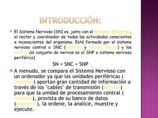 El Sistema Nervioso (SN) es, junto con el  Sistema  Endocrino , el rector y coordinador de todas las actividades conscientes e inconscientes del organismo. Está formado por el sistema nervioso central o SNC ( encéfalo  y  médula espinal ) y los  nervios  (el conjunto de nervios es el SNP o sistema nervioso periférico) SN = SNC + SNP A menudo, se compara el Sistema Nervioso con un ordenador ya que las unidades periféricas ( sentidos ) aportan gran cantidad de información a través de los "cables" de transmisión ( nervios ) para que la unidad de procesamiento central ( cerebro ), provista de su banco de datos ( memoria ), la ordene, la analice, muestre y ejecute. 