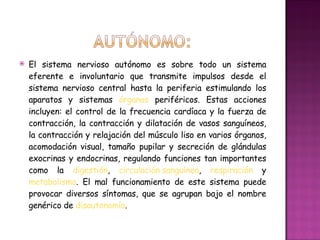 El sistema nervioso autónomo es sobre todo un sistema eferente e involuntario que transmite impulsos desde el sistema nervioso central hasta la periferia estimulando los aparatos y sistemas  órganos  periféricos. Estas acciones incluyen: el control de la frecuencia cardíaca y la fuerza de contracción, la contracción y dilatación de vasos sanguíneos, la contracción y relajación del músculo liso en varios órganos, acomodación visual, tamaño pupilar y secreción de glándulas exocrinas y endocrinas, regulando funciones tan importantes como la  digestión ,  circulación sanguínea ,  respiración  y  metabolismo . El mal funcionamiento de este sistema puede provocar diversos síntomas, que se agrupan bajo el nombre genérico de  disautonomía . 