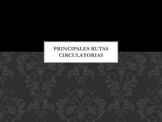 PRINCIPALES RUTAS
CIRCULATORIAS
 