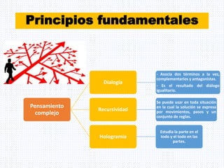 Principales aspectos de la pedagogía compleja.pptx