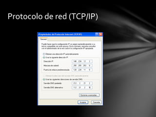 Protocolo de red (TCP/IP)
 