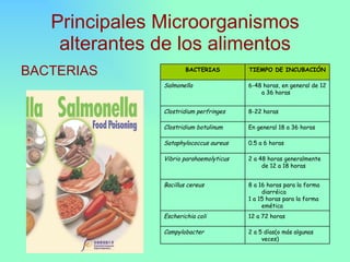 Principales Causas De Deterioro De Los Alimentos | PPT