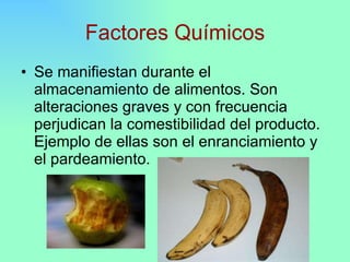 Principales Causas De Deterioro De Los Alimentos | PPT