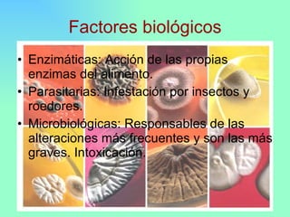 Principales Causas De Deterioro De Los Alimentos | PPT