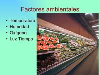 Principales Causas De Deterioro De Los Alimentos | PPT