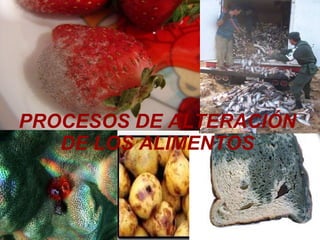 Principales Causas De Deterioro De Los Alimentos | PPT