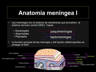 Anatomía meníngea I
• Las menineges son el sistema de membranas que envuelven al
sistema nervioso central (SNC). Capas:
– Duramadre
– Aracnoides
– Piamadre
• La función principal de las meninges y del líquido cefalorraquídeo es
proteger al SNC
leptomeninges
paquimeninges
Cuero cabelludo
Periostio
Calota
Periostio
Capa meníngea
Duramadre
Hoz cerebral
Corteza cerebral
Sustancia blanca
Piamadre
Aracnoides
Espacio subaracnoideo
Vellosidadaes aracnoideas
Seno sagital superior
 