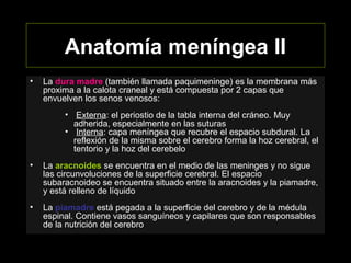 Anatomía meníngea II
• La dura madre (también llamada paquimeninge) es la membrana más
proxima a la calota craneal y está compuesta por 2 capas que
envuelven los senos venosos:
• Externa: el periostio de la tabla interna del cráneo. Muy
adherida, especialmente en las suturas
• Interna: capa meníngea que recubre el espacio subdural. La
reflexión de la misma sobre el cerebro forma la hoz cerebral, el
tentorio y la hoz del cerebelo
• La aracnoides se encuentra en el medio de las meninges y no sigue
las circunvoluciones de la superficie cerebral. El espacio
subaracnoideo se encuentra situado entre la aracnoides y la piamadre,
y está relleno de líquido
• La piamadre está pegada a la superficie del cerebro y de la médula
espinal. Contiene vasos sanguíneos y capilares que son responsables
de la nutrición del cerebro
 