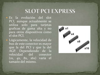  Es

la evolución del slot
PCI, aunque actualmente se
utiliza solo para tarjetas
graficas de gama alta y no
para otros dispositivos como
el slot PCI.
 Lógicamente, la velocidad de
bus de este conector es mayor
que la del PCI y que la del
AGP. Dependiendo de la
velocidad
del
conector
(1x, 4x, 8x, 16x) varía el
tamaóo del mismo.

 