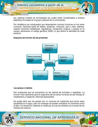 Principales_componentes_de_los_alimentos.pdf