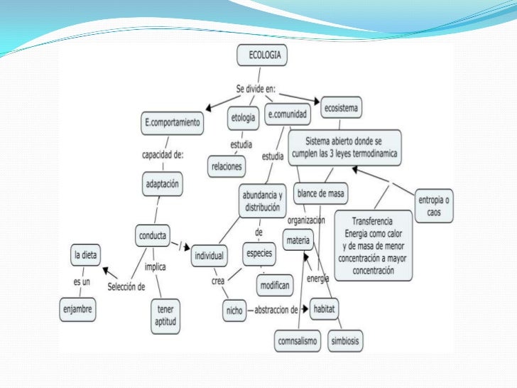 Principales conceptos de ecologia