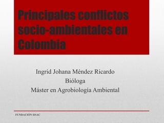 Principales conflictos
socio-ambientales en
Colombia
Ingrid Johana Méndez Ricardo
Bióloga
Máster en Agrobiología Ambiental
FUNDACIÓN IISAC
 
