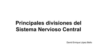 Principales divisiones del
Sistema Nervioso Central
David Enrique López Bello
 
