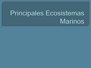 Principales Ecosistemas Marinos  