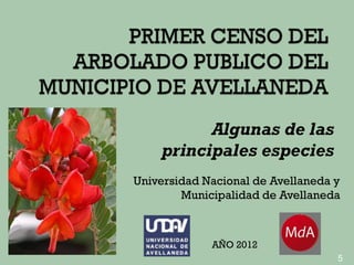 Algunas de las
    principales especies
Universidad Nacional de Avellaneda y
        Municipalidad de Avellaneda



             AÑO 2012
                                   5
 
