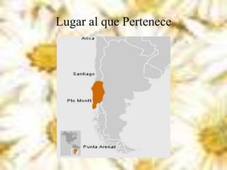 Lugar al que Pertenece
 
