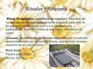 Rituales y Artesania
Ritual: El nguillatún (ceremonia de rogación): Para esto se
necesitaba de un lugar especialmente dispuesto para este fin.
En su centro se instala el rewe y a su alrededor los
participantes. Dura un mínimo de dos días y un máximo de
cuatro.
Artesanía: La colección de objetos mapuche está constituida
aproximadamente por quinientas piezas, que abarcan diversos
aspectos de su cultura como:
Num kudi
Piedra para moler
Ancho 39 cm
 