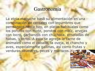 Gastronomía
La etnia mapuche basó su alimentación en una
combinación de cereales con legumbres que
permanece hasta hoy, en platos habituales como
los porotos con mote, porotos con maíz, arvejas
con locro, garbanzos con chuchoca, ensaladas de
habas, y otros. A esto se agrega la carne de
animales como el caballo, la oveja, el chancho y
aves, especialmente gallinas, así como frutas y
verduras silvestres, peces y mariscos.
 