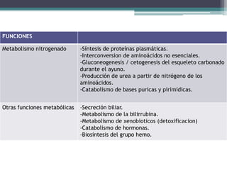 FUNCIONES
Metabolismo nitrogenado -Síntesis de proteínas plasmáticas.
-Interconversion de aminoácidos no esenciales.
-Gluconeogenesis / cetogenesis del esqueleto carbonado
durante el ayuno.
-Producción de urea a partir de nitrógeno de los
aminoácidos.
-Catabolismo de bases puricas y pirimidicas.
Otras funciones metabólicas -Secreción biliar.
-Metabolismo de la bilirrubina.
-Metabolismo de xenobioticos (detoxificacion)
-Catabolismo de hormonas.
-Biosíntesis del grupo hemo.
 