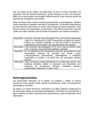 Una vez dentro de las células, las tetraciclinas se unen en forma reversible a la
subunidad 30S del ribosoma bacteriano, donde bloquean la unión de aminoacil-
tRNA con el sitio receptor del complejo mRNA-ribosoma. Esto impide la adición de
aminoácidos al péptido en crecimiento.
tienen actividad contra muchas bacterias grampositivas y gramnegativas, incluidos
ciertos anaerobios, rickettsias, clamidias y micoplasmas. La actividad antibacteriana
de casi todas las tetraciclinas es similar, salvo porque las cepas resistentes a este
fármaco pueden ser susceptibles a la doxiciclina, minociclina y tigeciclina, todas las
cuales son malos sustratos para la bomba de expulsión que media la resistencia.
Doxiciclina: oral e IV; semivida más prolongada (18 h), por lo que se administra
cada 12 h; eliminación no renal; la absorción se afecta de manera
mínima por cationes divalentes; se usa para tratar la neumonía
adquirida en la comunidad y las exacerbaciones de bronquitis
Minociclina: oral; semivida más prolongada (16 h), por lo que se dosifica cada
12h; a menudo causa toxicidad vestibular reversible
Tigeciclina: IV; no afectada por los mecanismos comunes de resistencia a las
tetraciclinas; espectro de actividad muy amplio contra
microorganismos grampositivos, gramnegativos y bacterias
anaerobias; la náusea y el vómito son sus principales efectos
tóxicos
Tetraciclina Oral • eliminación mixta (semividade 8 h), dosificación cada 6 h, los
cationes divalentes alteran su absorción oral. Infecciones por
especies de micoplasma, clamidia, rickettsias, algunas
espiroquetas, paludismo, H. pylori, acné
Aminoglucósidos:
son bactericidas inhibidores de la síntesis de proteínas y alteran la función
ribosómica. Estos agentes tienen utilidad principalmente contra microorganismos
gramnegativos aerobios.
Se utilizan con mayor frecuencia combinados con algún antibiótico lactámicoβ en
las infecciones graves por bacterias gramnegativas, combinado con vancomicina o
algún lactámico β contra endocarditis por grampositivos y para el tratamiento de la
tuberculosis.
 