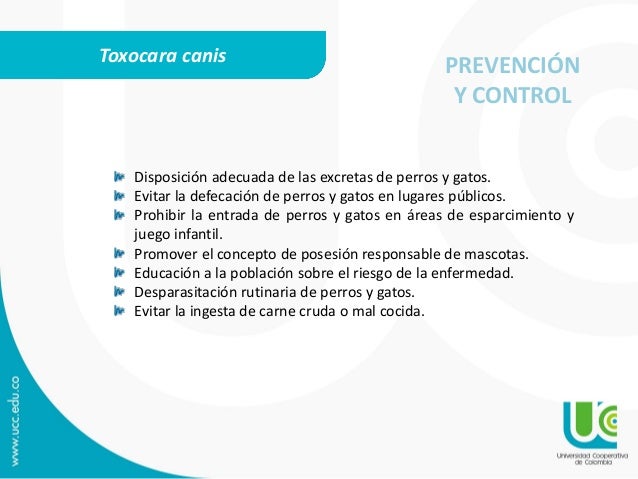 Los parásitos duele el vientre está mareado