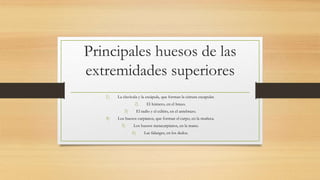 Principales huesos de las
extremidades superiores
1) La clavícula y la escápula, que forman la cintura escapular.
2) El húmero, en el brazo.
3) El radio y el cúbito, en el antebrazo.
4) Los huesos carpianos, que forman el carpo, en la muñeca.
5) Los huesos metacarpianos, en la mano.
6) Las falanges, en los dedos.
 