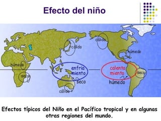 Efecto del niño




Efectos típicos del Niño en el Pacífico tropical y en algunas
                 otras regiones del mundo.
 