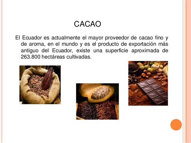 Resultado de imagen para Primer producto que exporto el Ecuador