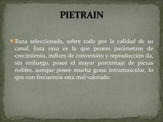 Raza seleccionada, sobre todo por la calidad de su
 canal. Esta raza es la que peores parámetros de
 crecimiento, índices de conversión y reproducción da,
 sin embargo, posee el mayor porcentaje de piezas
 nobles, aunque posee mucha grasa intramuscular, lo
 que con frecuencia esta mal valorado.
 