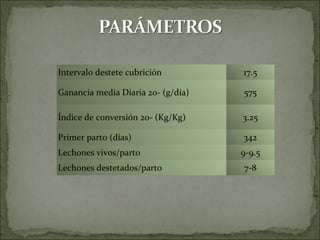 Intervalo destete cubrición         17.5

Ganancia media Diaria 20- (g/día)   575

Índice de conversión 20- (Kg/Kg)    3.25

Primer parto (días)                 342
Lechones vivos/parto                9-9.5
Lechones destetados/parto           7-8
 