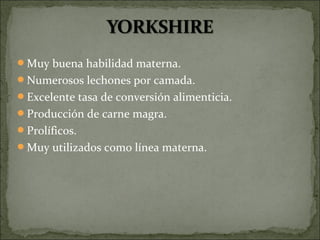 Muy buena habilidad materna.
Numerosos lechones por camada.
Excelente tasa de conversión alimenticia.
Producción de carne magra.
Prolíficos.
Muy utilizados como línea materna.
 