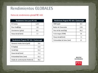 Principales razas porcinas